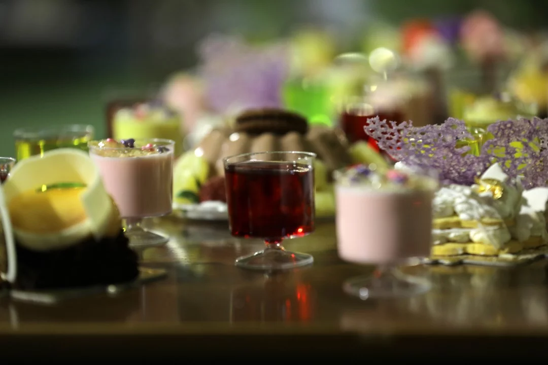 گالری دشت شقایق (11)